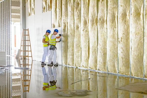 Best Eco-Friendly Insulation in Greenwood, AR